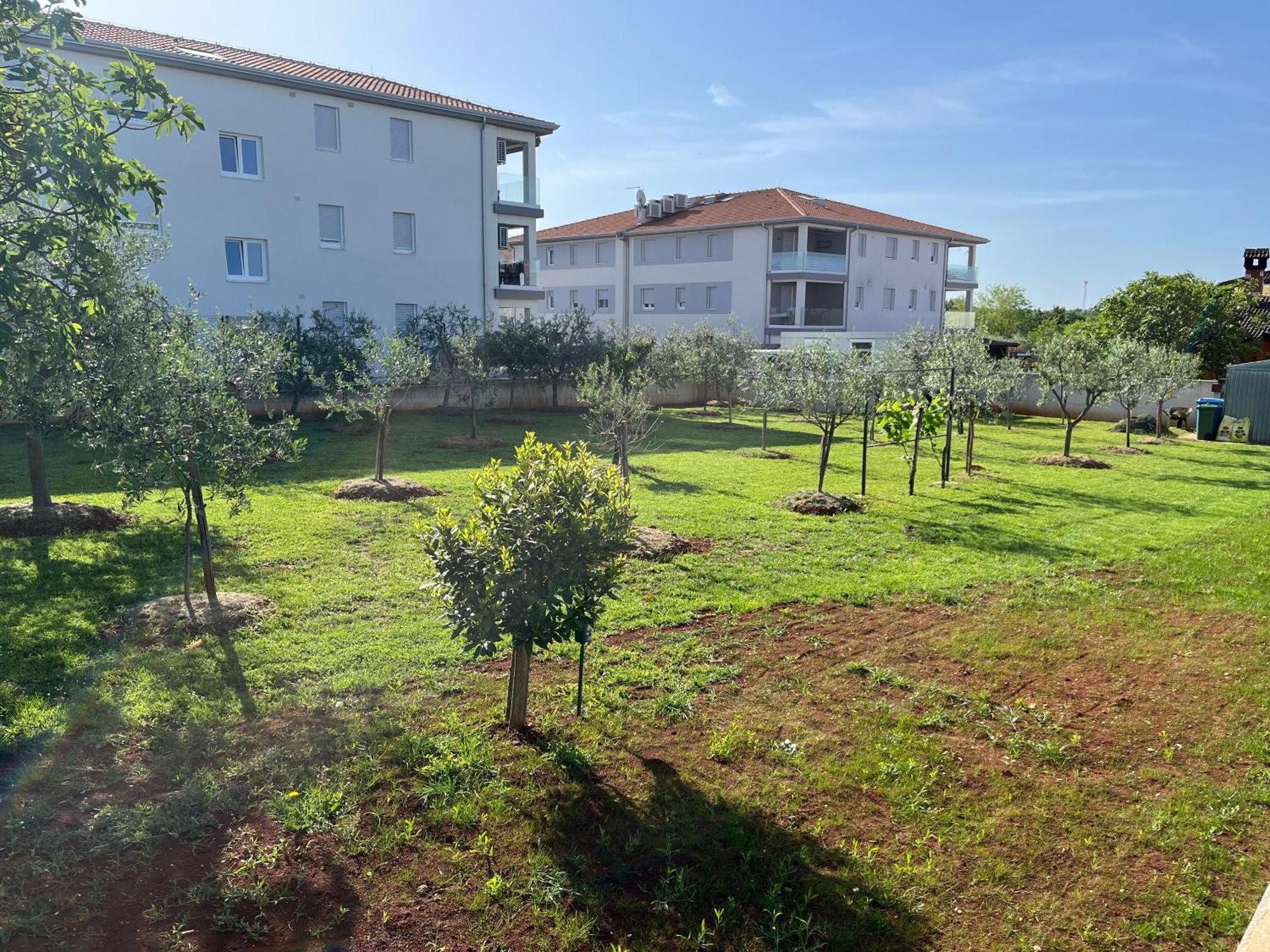 Apartments M&M Terzic Porec Bagian luar foto